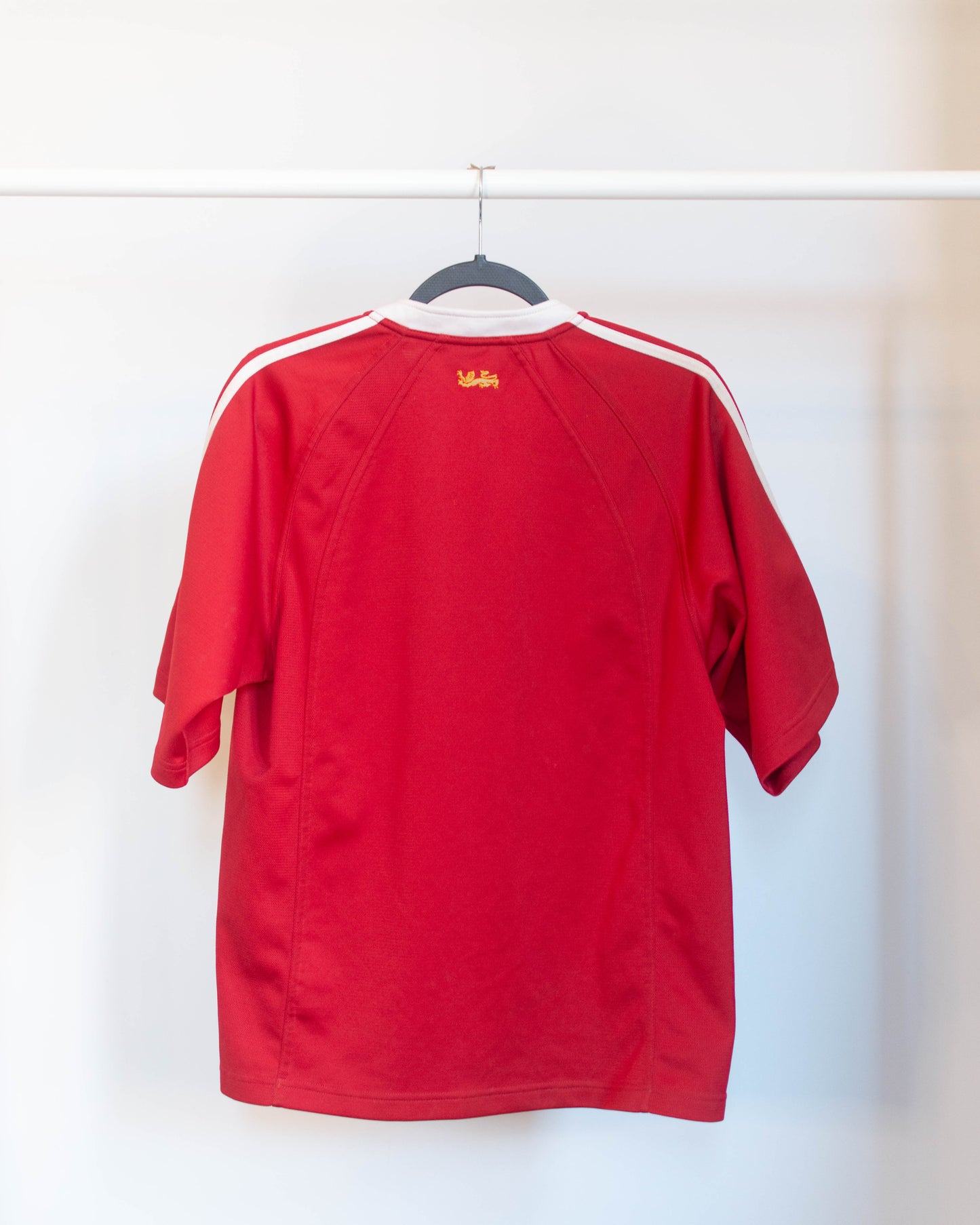 2005 British & Irish Lions Home Jersey - S