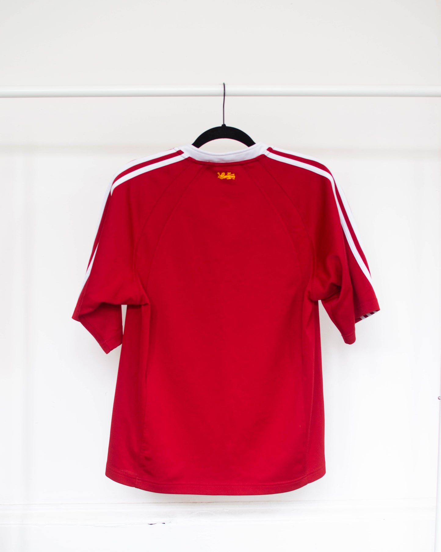 2005 British & Irish Lions Home Jersey - S