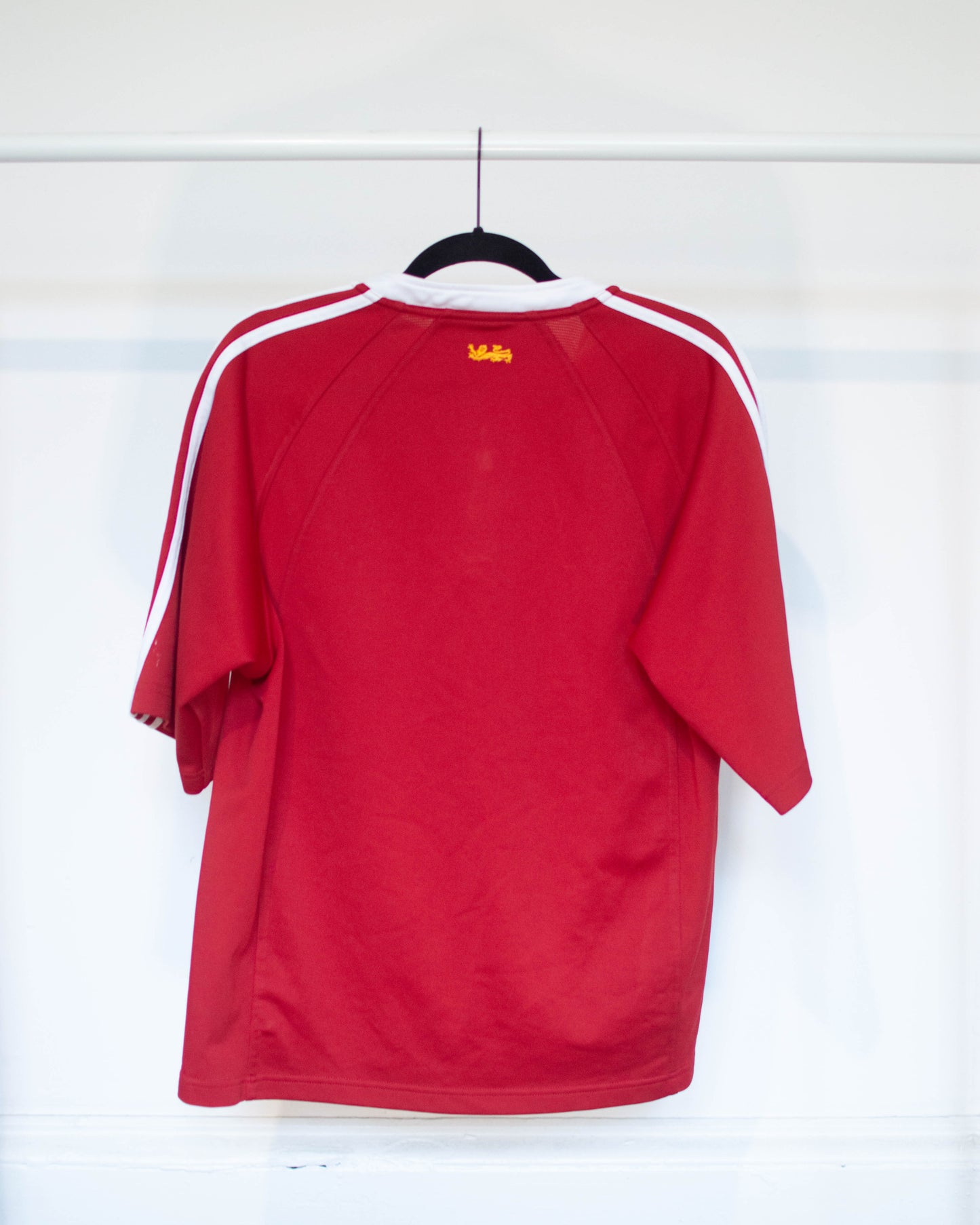 2005 British and Irish Lions Jersey - M
