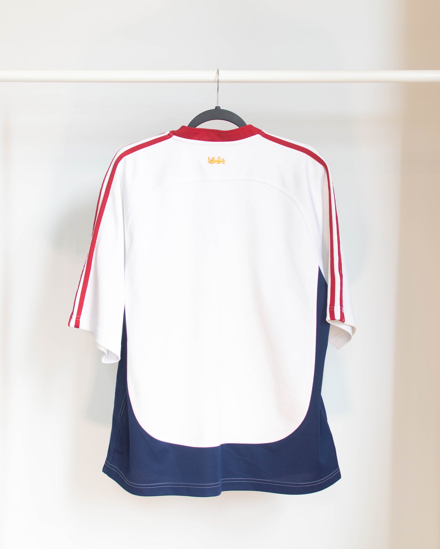2005 British & Irish Lions Away Jersey - L