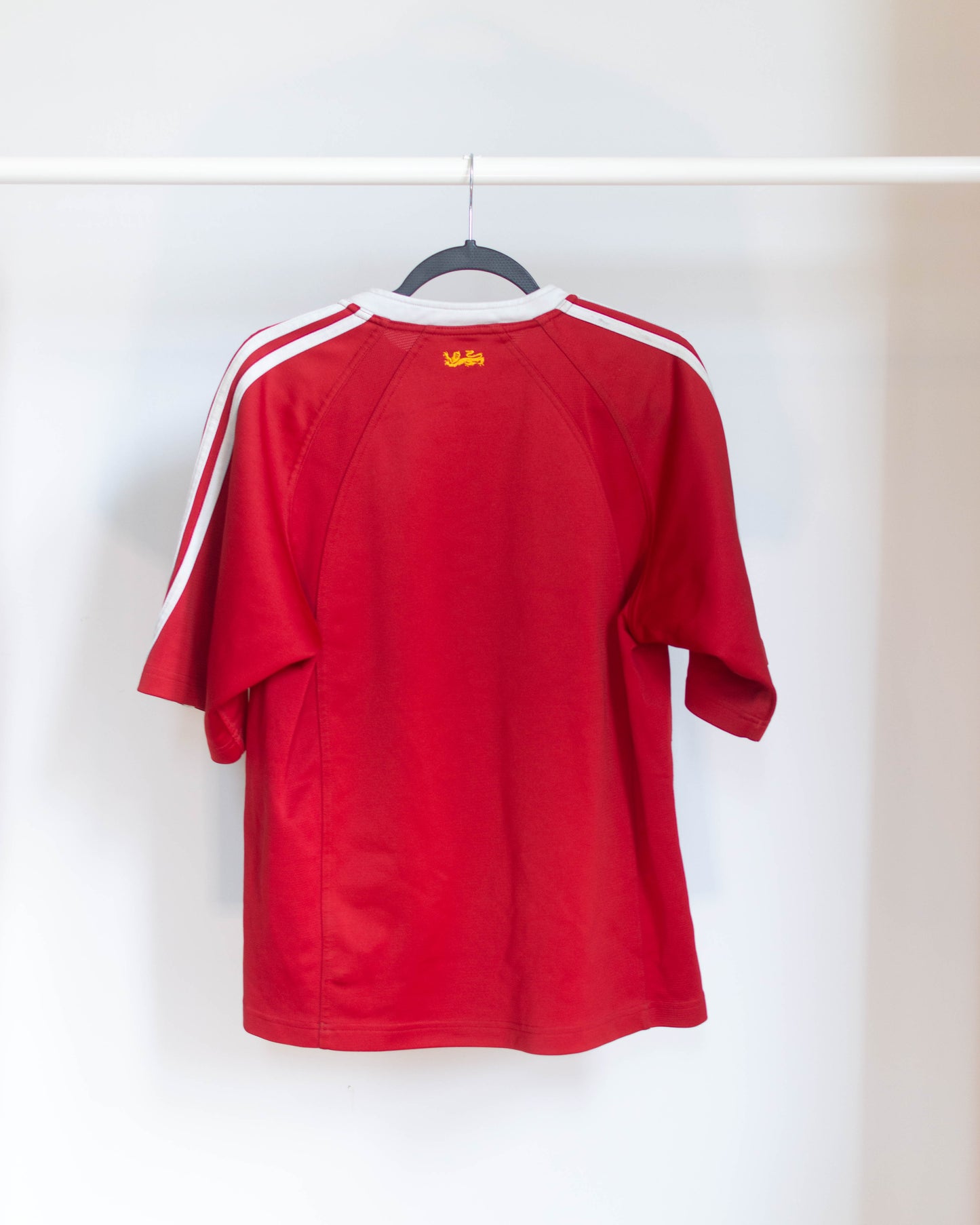 2005 British & Irish Lions Jersey - S
