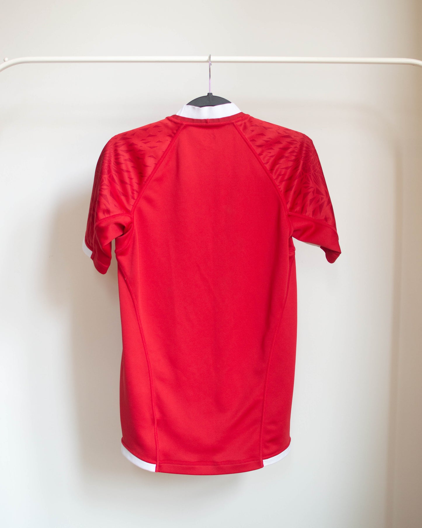 2021 British & Irish Lions Home Jersey - XS