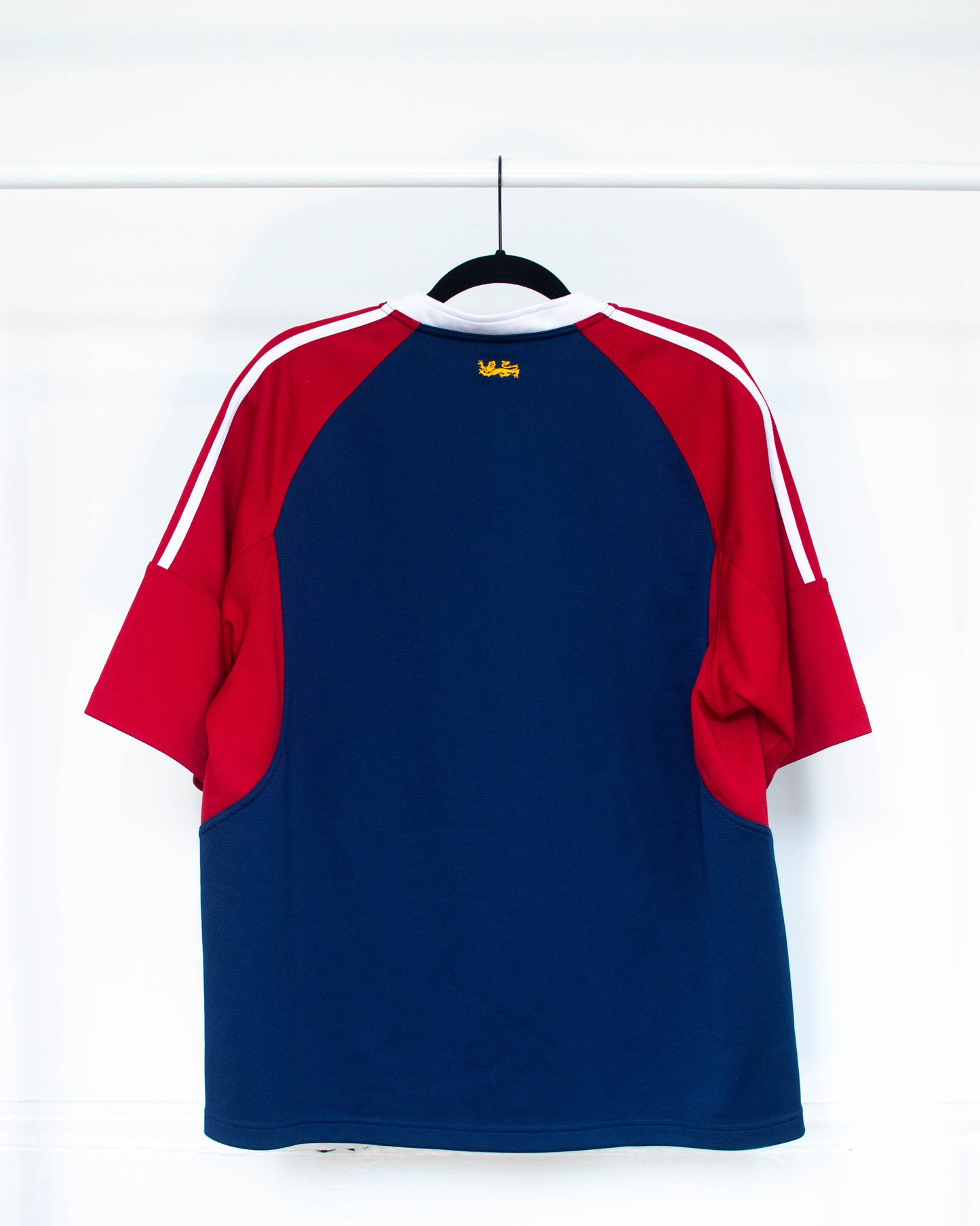 2005 British & Irish Lions Alternate Shirt - L