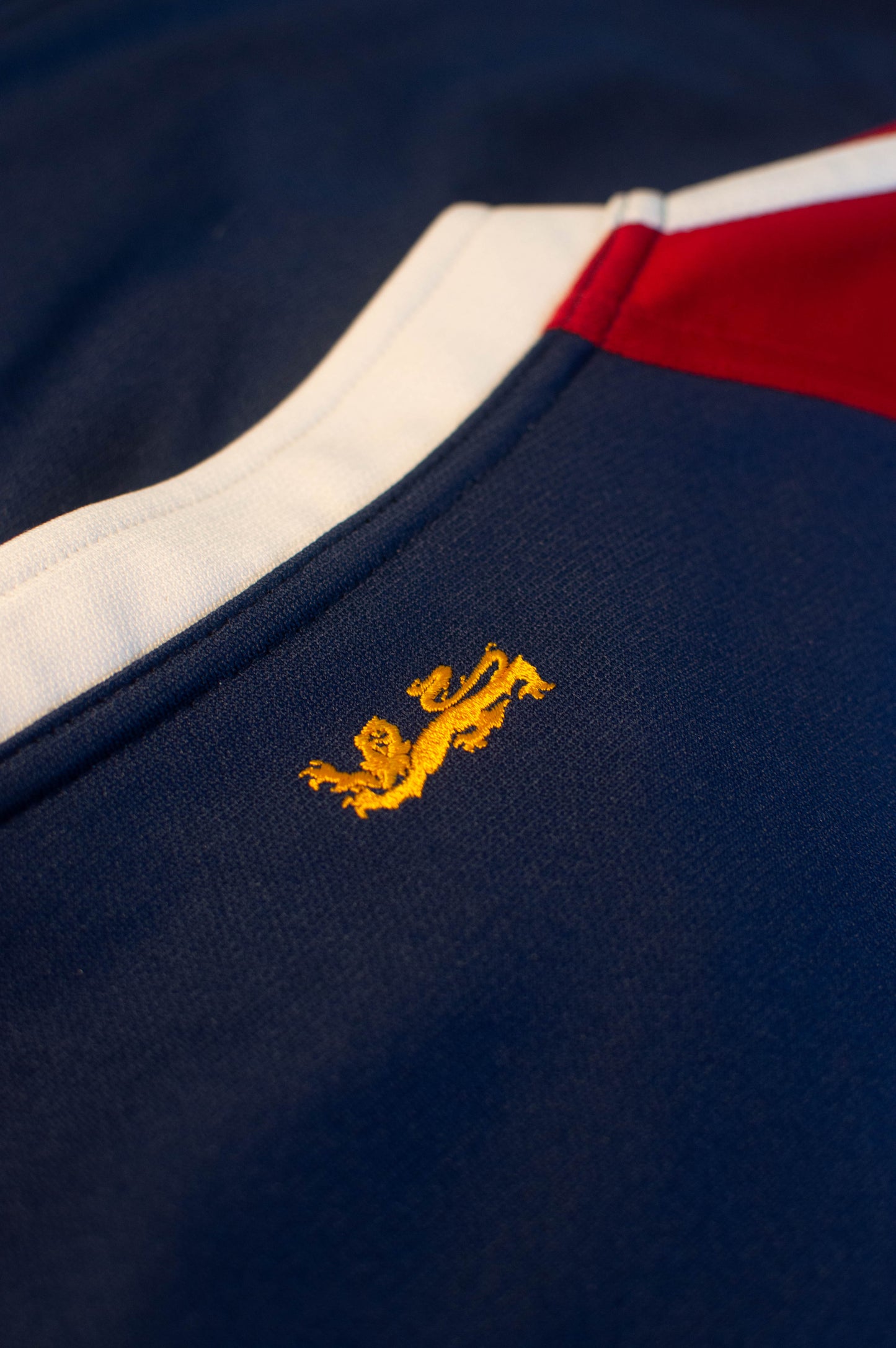 2005 British & Irish Lions Alternate Shirt - L