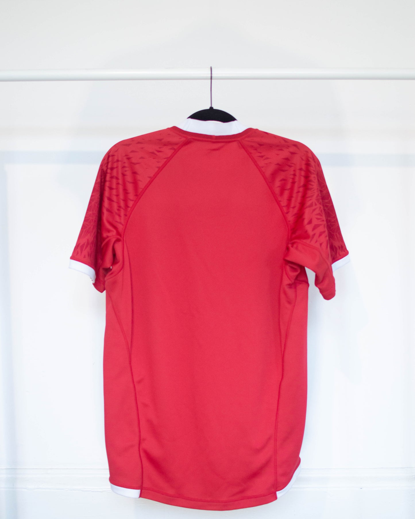 2021 British & Irish Lions Home Jersey - L