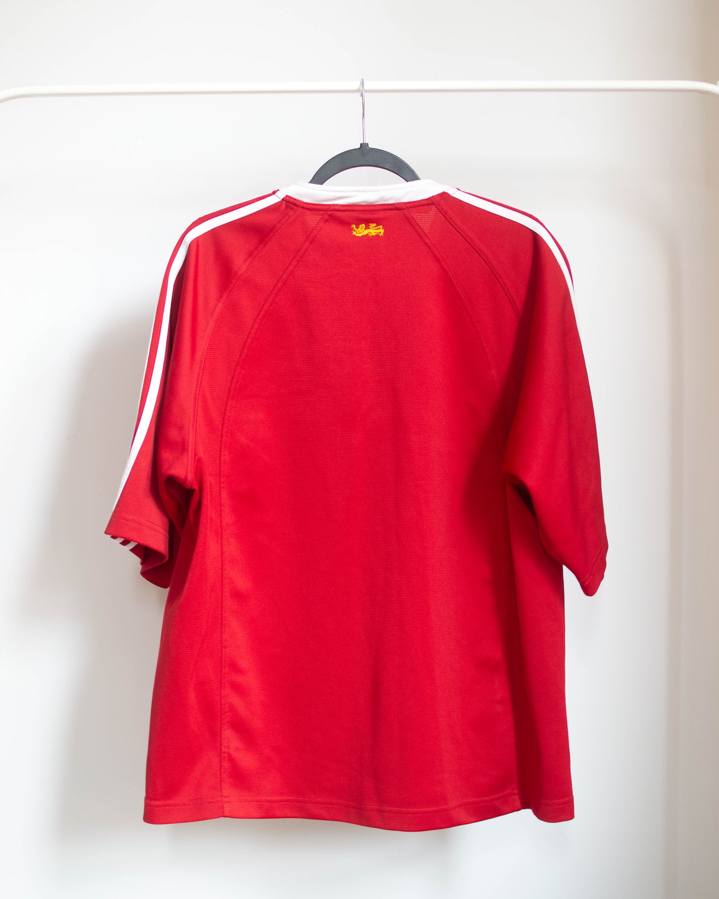 2005 British & Irish lions Home Jersey - L