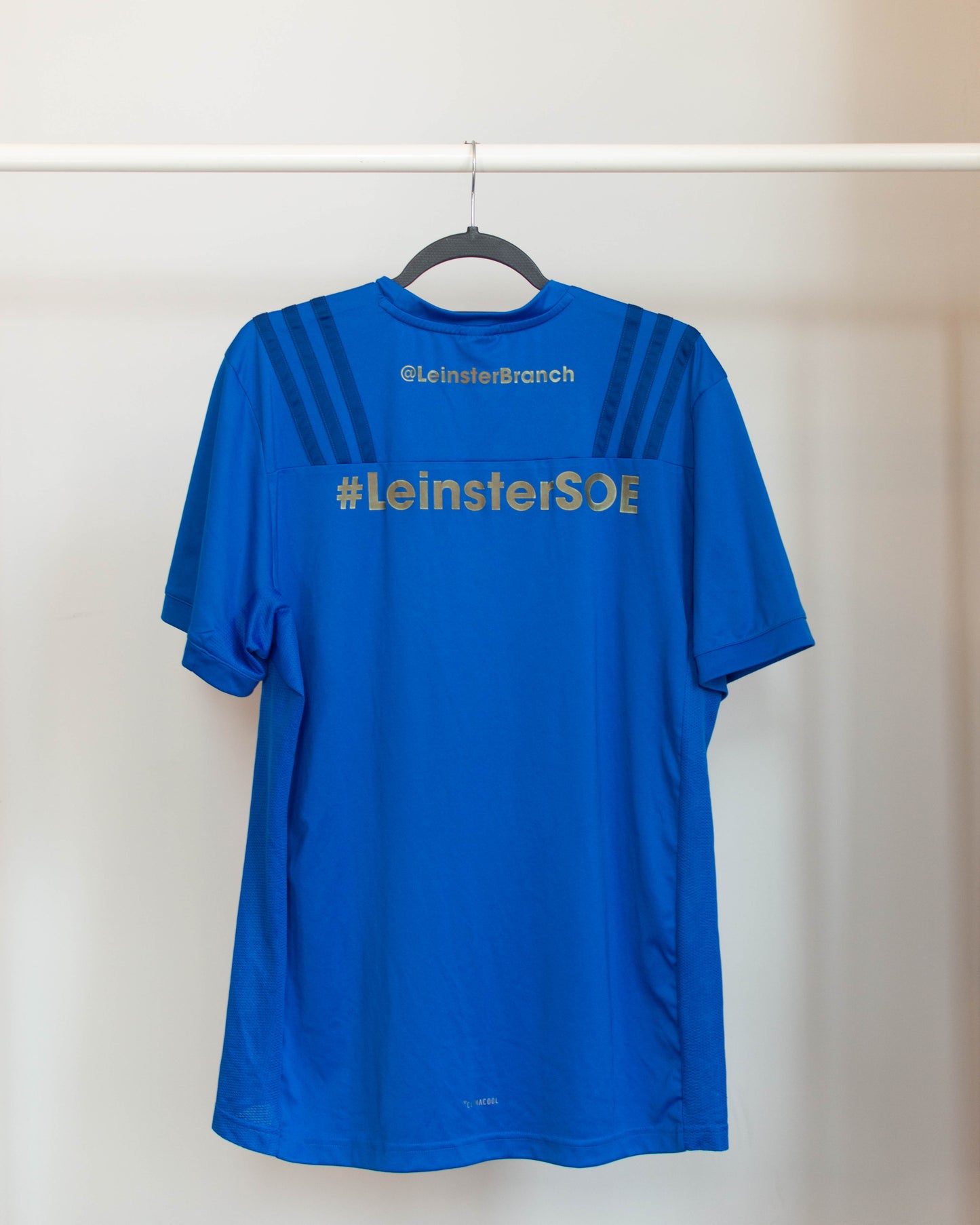 2020s Leinster Rugby Training Jersey - XL